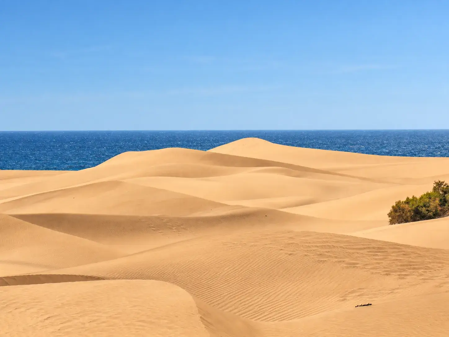 Die Umgebung von Playa del Inglés